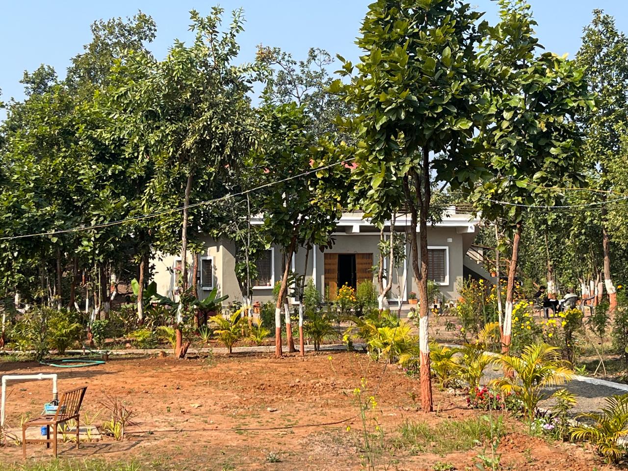 Luxury resort pool with palm trees at sunset